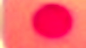 Saiyans dominating everyone in Dragon Ball series