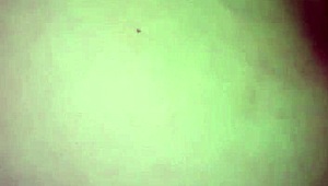 Petite babe fucking her soaking wet tight pussy with toy