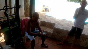 white head watching boat owner's house from afar