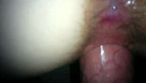 Hey, Check Out My Wife Taking a Beer Bottle in Her Backdoor Action.