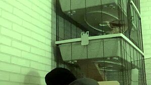 Horny Tattoo Guy Enjoys Wet Piss Play On Sofa