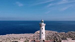 Teen Novata Miss Peach Sucks Mr Banana in POV Cumshot!