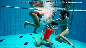 Avenna, Nina Mohnatka, and Marketa Dive Into Pool for Teen Bikini Fun