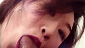 hot japanese babe fucking and licking hairy pussy in 69