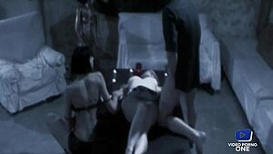 Wow, Lavandra May and Elke, blonde and brunette, sharing one hard dick! 😍