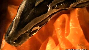 check out this sensual exotic dancing display