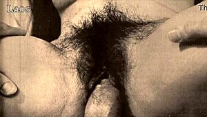 Dark Lantern Entertainment, what secrets do these vintage women hide in their erotic confessions?