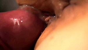 Blowjob Doggy Style And Missionary In Interesting Details