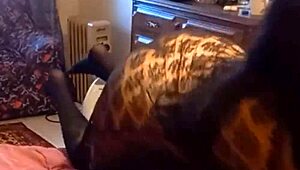 comida polla coño semen en boca