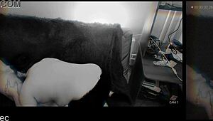 Hey, check this latex leggings milf in wild sex tape!