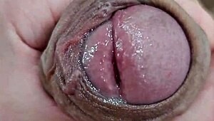 Feeling so connected watching this Brazilian twink in a solo amateur punheta session with neighbors.