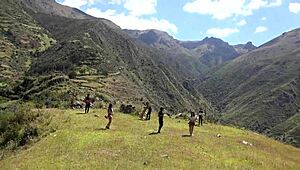 peruvian dancers in sexy panties and ass shaking oral moves