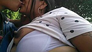 Две колумбийски мацки се наслаждават диво една на друга в обществен парк