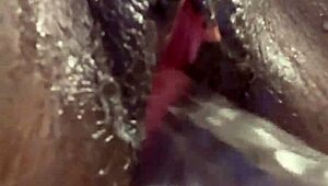 Μαύρη tgirl solo κάνει μαλακία με δονητή σε μαύρο σκηνικό