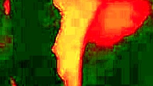 laura angel fucks with twin peaks music playing