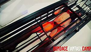 Sexy Sluts Mai Bailey and Krystal Webb in Lesbian Fetish Ass Licking Pussy Fingering Scene