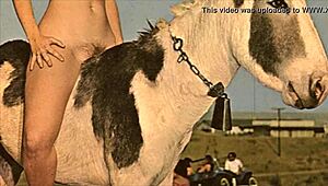 Dark Lantern Entertainment shocks with women and animals! Erotic confessions from a Victorian gentleman’s secret life.