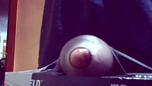 フレッシュライト