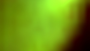 Emotional Bisexual Video From March 16, 2017