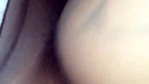 Blacchammer Pounds Ebony Ass With Big Cock