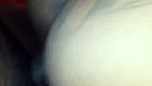 Blacchammer Pounds Ebony Ass With Big Cock