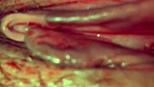 Dirty Bitch Wife Gets It Rough