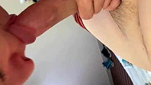 roxi reynolds suckin that big ol cock so good