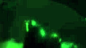 She says, I love cum on my face in this hot cartoon fantasy