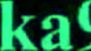 Jeanne D'Arc And Tamamo Intense Creampie Sex