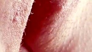 Чувствено лижане и пръскане на путка за интензивен оргазъм отблизо