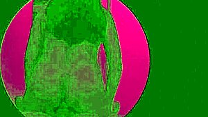 Hw y bull spies in glory hole booth with dancing and riding