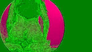 Hw y bull spies in glory hole booth with dancing and riding