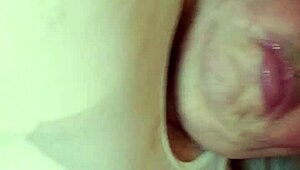 i'm cute ts janine, intro with errors