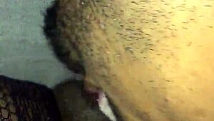 Craving a quick ebony blowjob from a hot couple in POV?