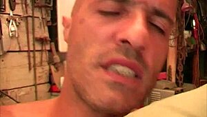 gran troia bionda inculata duro in magazzino