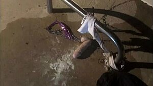 Psychedelic experience unfolds in Freak Hill