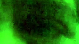 Psychedelic experience unfolds in Freak Hill