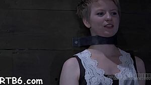sweet honey endures rough torment in wild session