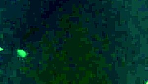 chocolate dreams gettin her kitty pounded in bent over doggystyle!