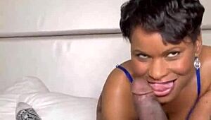 Caramel the legend passionately fucks a fan with big cock and lingerie