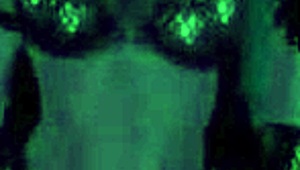 i watch tyrande gorgeous night elf dancing in the moonlight