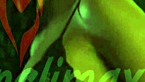 passionate nights with colombian escort girls