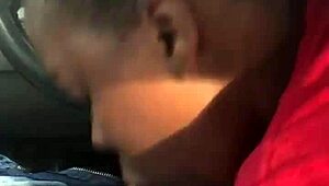 Rat bitch sucking dick