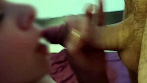 Redhot fox in action