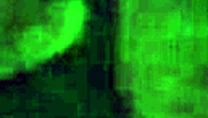 wet pussy new toy love the curve