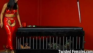 You're just a piece of trash to me, get punished in femdom domination 😈