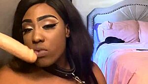 Lexo Butterfly Submissively Sucks Cock and Spits on It