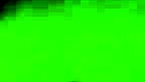 Hey Brazilliana, why are you deepthroating the neighbor in fishnets while he's visiting?