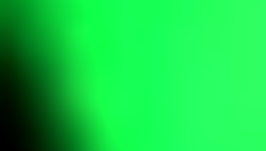 Mature Ebony Gives Sloppy Head to Big Black Cock. What's Her Secret?