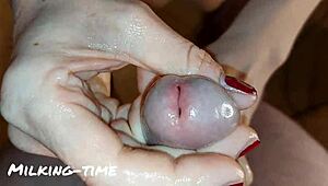 cfnm nurse part 4 foreskin circumcision milking session